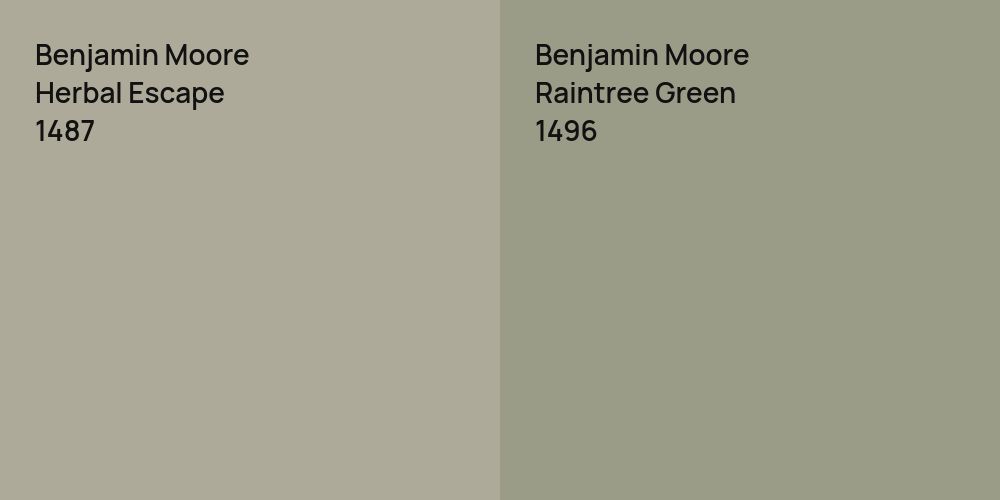 Benjamin Moore Herbal Escape vs. Benjamin Moore Raintree Green