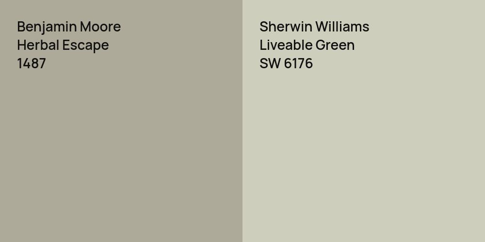 Benjamin Moore Herbal Escape vs. Sherwin Williams Liveable Green