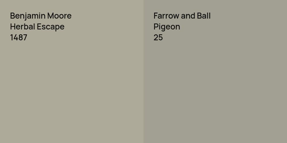 Benjamin Moore Herbal Escape vs. Farrow and Ball Pigeon