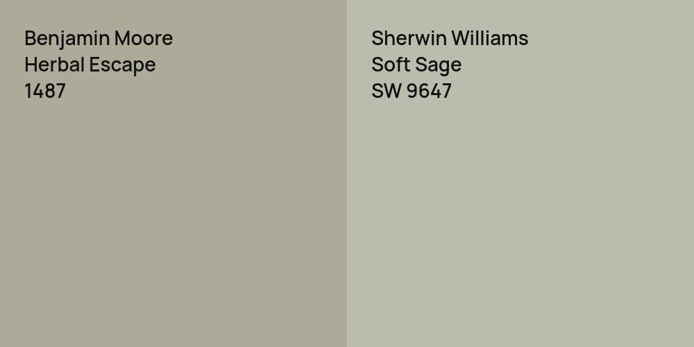 Benjamin Moore Herbal Escape vs. Sherwin Williams Soft Sage