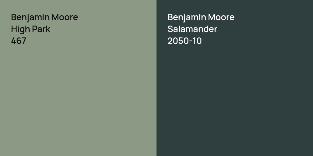 Benjamin Moore High Park vs. Benjamin Moore Salamander