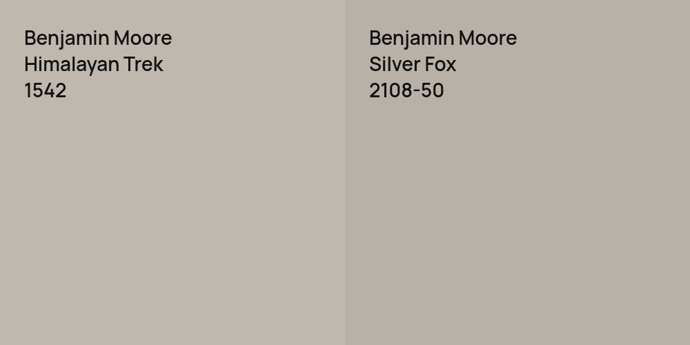 Benjamin Moore Himalayan Trek vs. Benjamin Moore Silver Fox