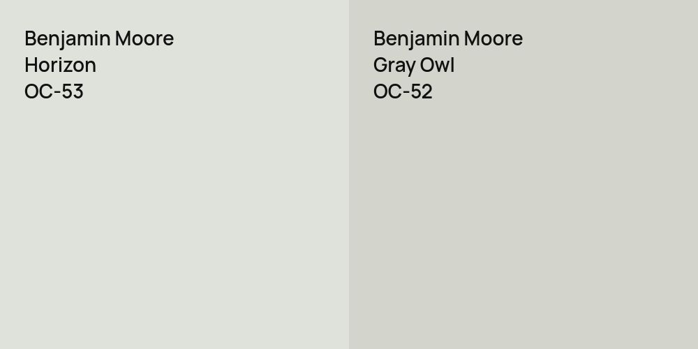 Benjamin Moore Horizon vs. Benjamin Moore Gray Owl