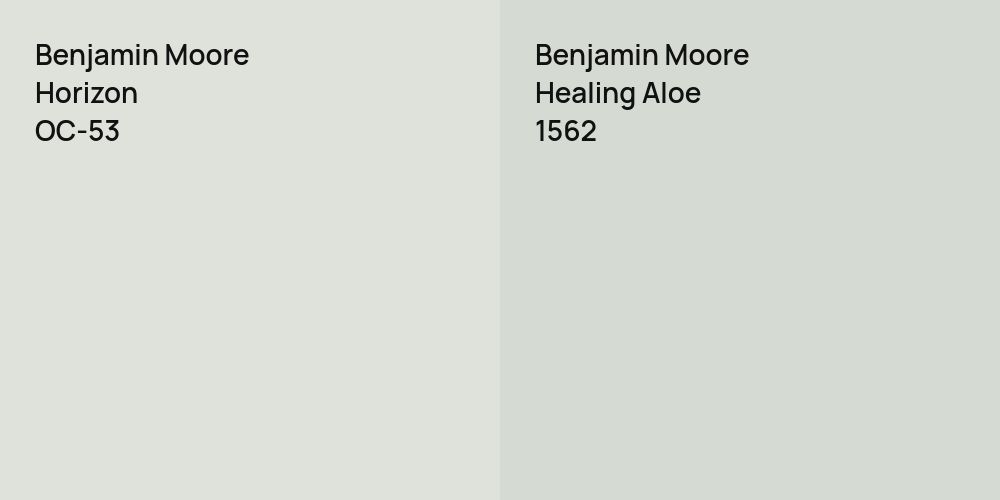 Benjamin Moore Horizon vs. Benjamin Moore Healing Aloe