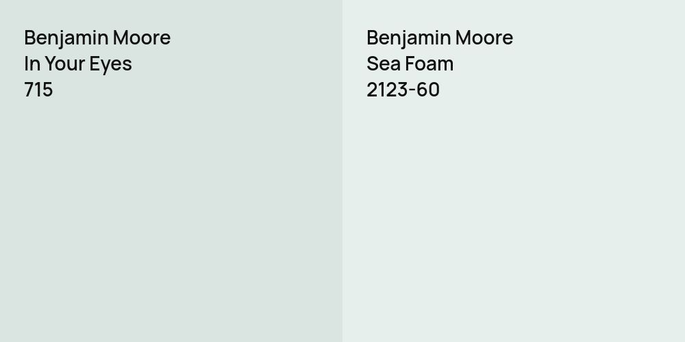 Benjamin Moore In Your Eyes vs. Benjamin Moore Sea Foam