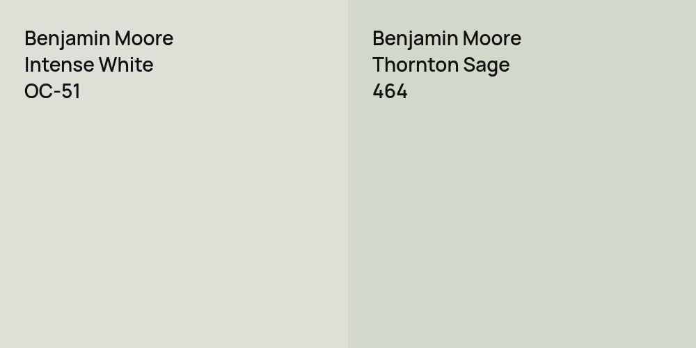 Benjamin Moore Intense White vs. Benjamin Moore Thornton Sage