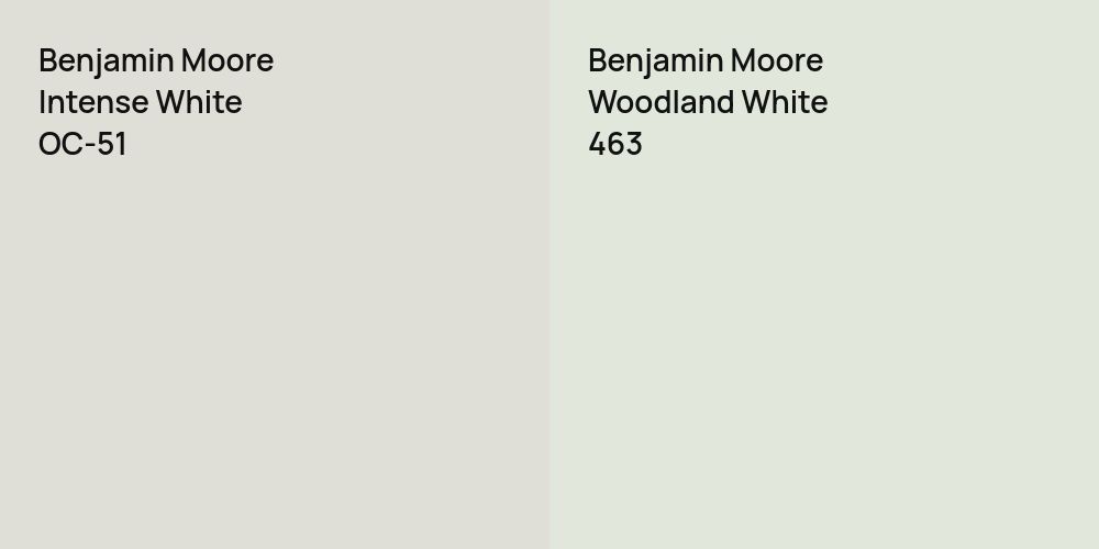 Benjamin Moore Intense White vs. Benjamin Moore Woodland White