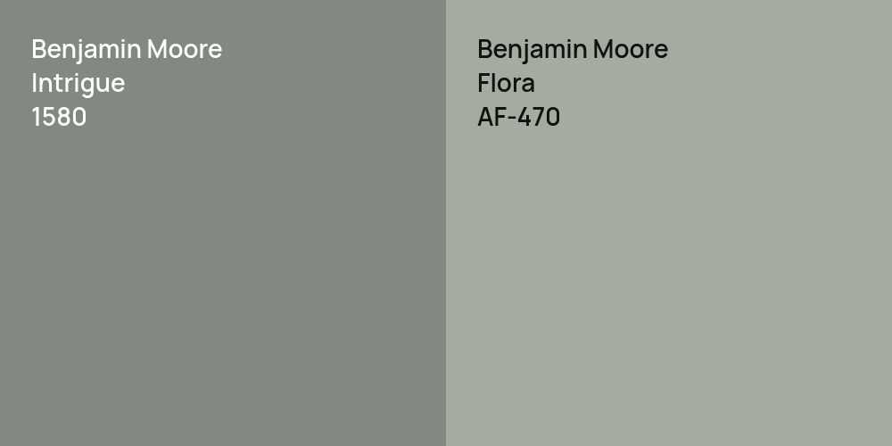 Benjamin Moore Intrigue vs. Benjamin Moore Flora