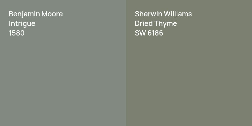 Benjamin Moore Intrigue vs. Sherwin Williams Dried Thyme