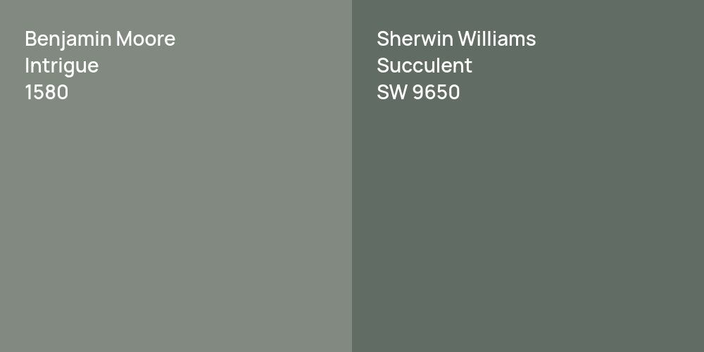 Benjamin Moore Intrigue vs. Sherwin Williams Succulent