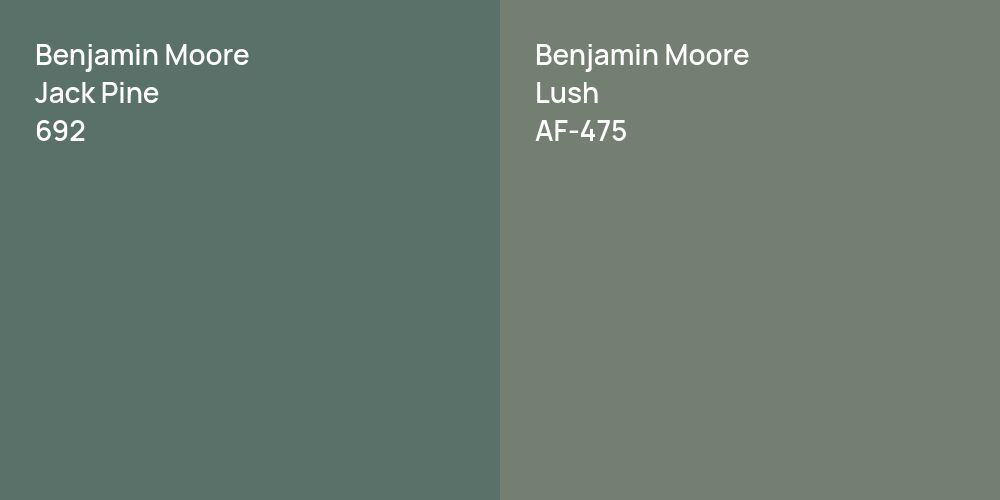 Benjamin Moore Jack Pine vs. Benjamin Moore Lush