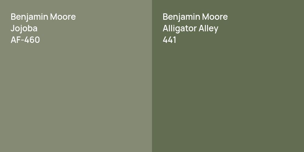 Benjamin Moore Jojoba vs. Benjamin Moore Alligator Alley