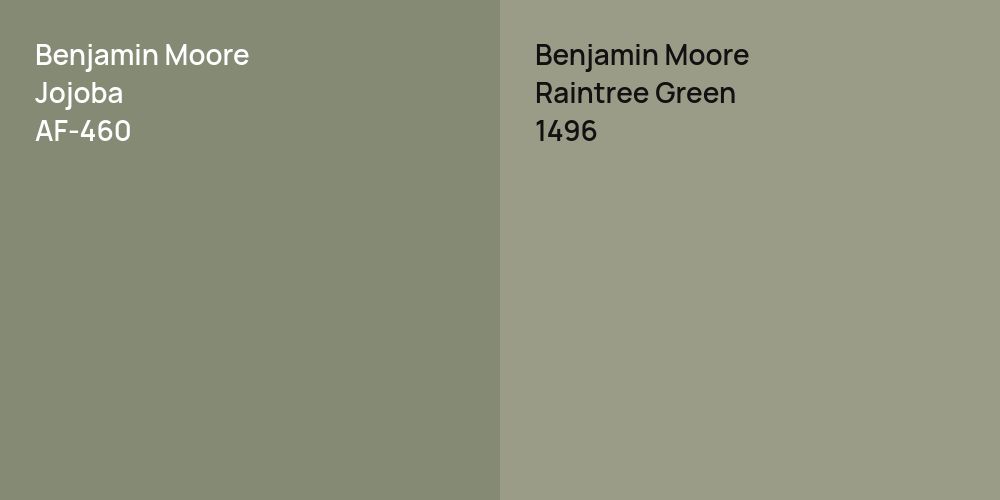 Benjamin Moore Jojoba vs. Benjamin Moore Raintree Green