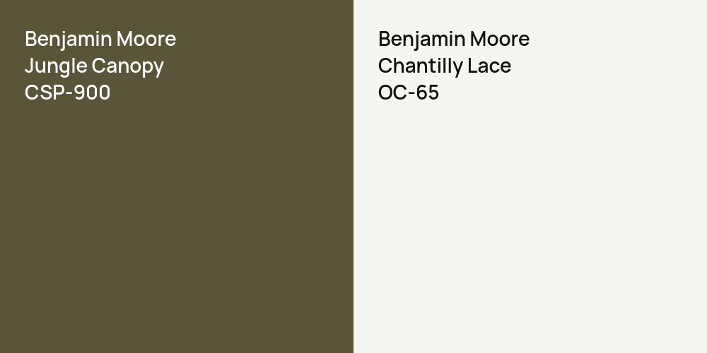 Benjamin Moore Jungle Canopy vs. Benjamin Moore Chantilly Lace