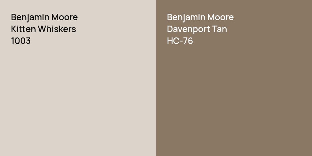 Benjamin Moore Kitten Whiskers vs. Benjamin Moore Davenport Tan