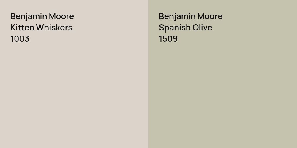 Benjamin Moore Kitten Whiskers vs. Benjamin Moore Spanish Olive