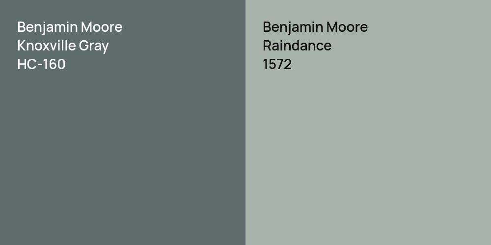 Benjamin Moore Knoxville Gray vs. Benjamin Moore Raindance