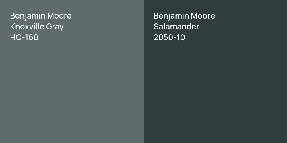 Benjamin Moore Knoxville Gray vs. Benjamin Moore Salamander