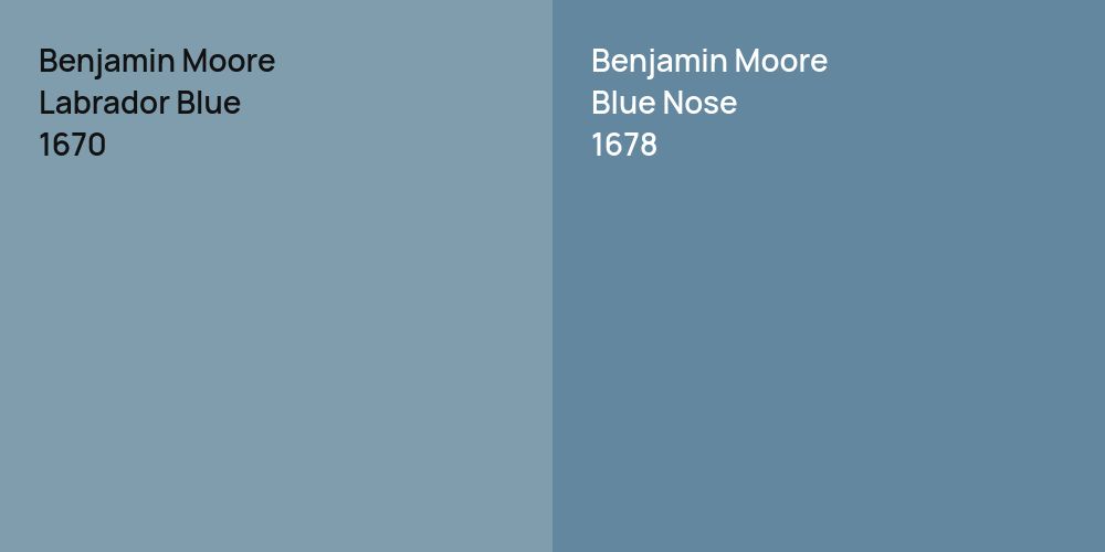 Benjamin Moore Labrador Blue vs. Benjamin Moore Blue Nose