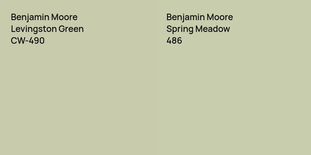 Benjamin Moore Levingston Green vs. Benjamin Moore Spring Meadow