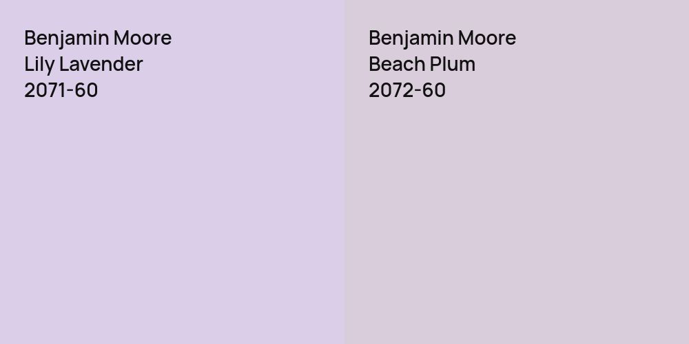 Benjamin Moore Lily Lavender vs. Benjamin Moore Beach Plum