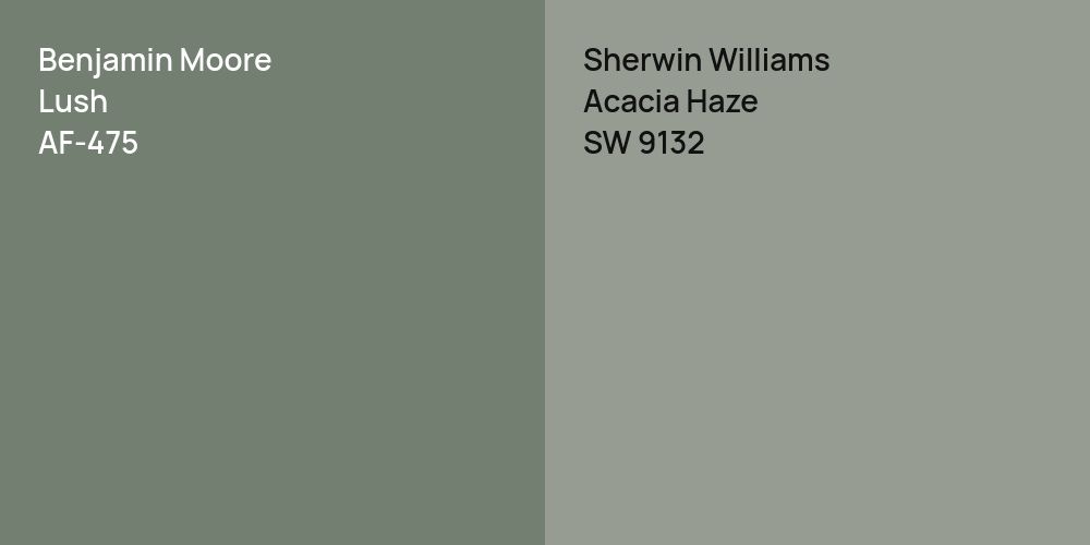 Benjamin Moore Lush vs. Sherwin Williams Acacia Haze