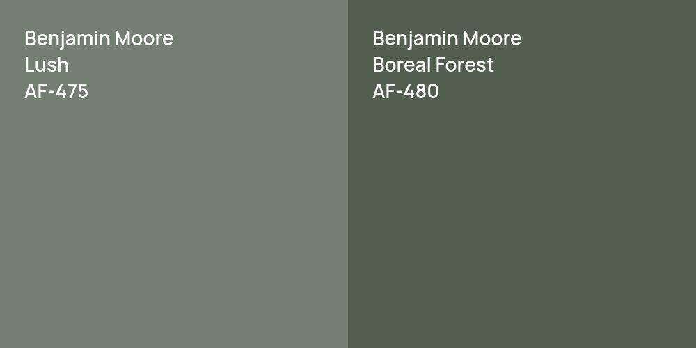 Benjamin Moore Lush vs. Benjamin Moore Boreal Forest