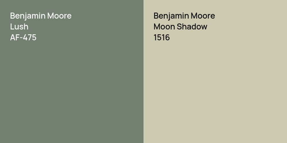 Benjamin Moore Lush vs. Benjamin Moore Moon Shadow