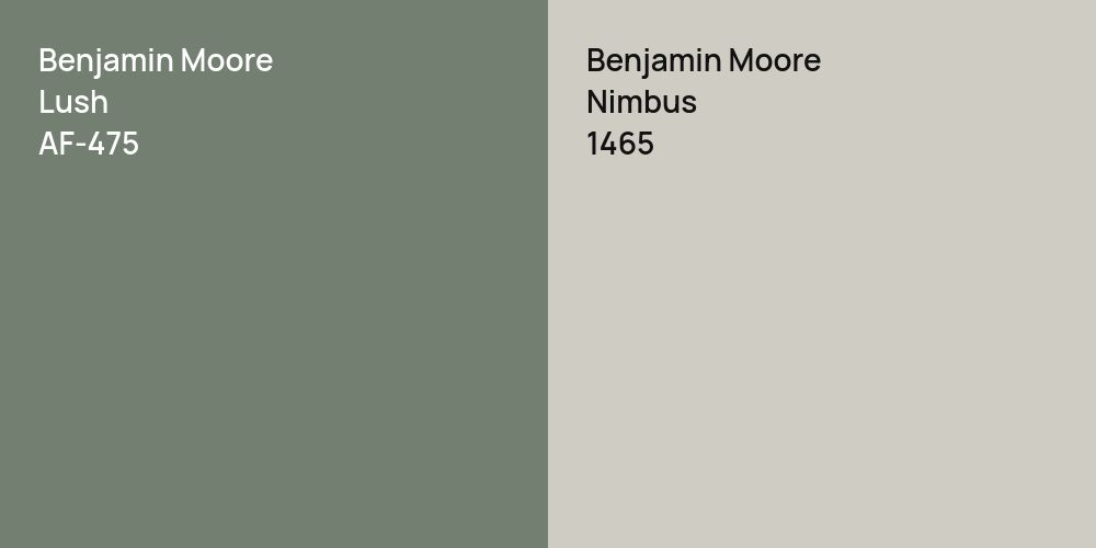 Benjamin Moore Lush vs. Benjamin Moore Nimbus