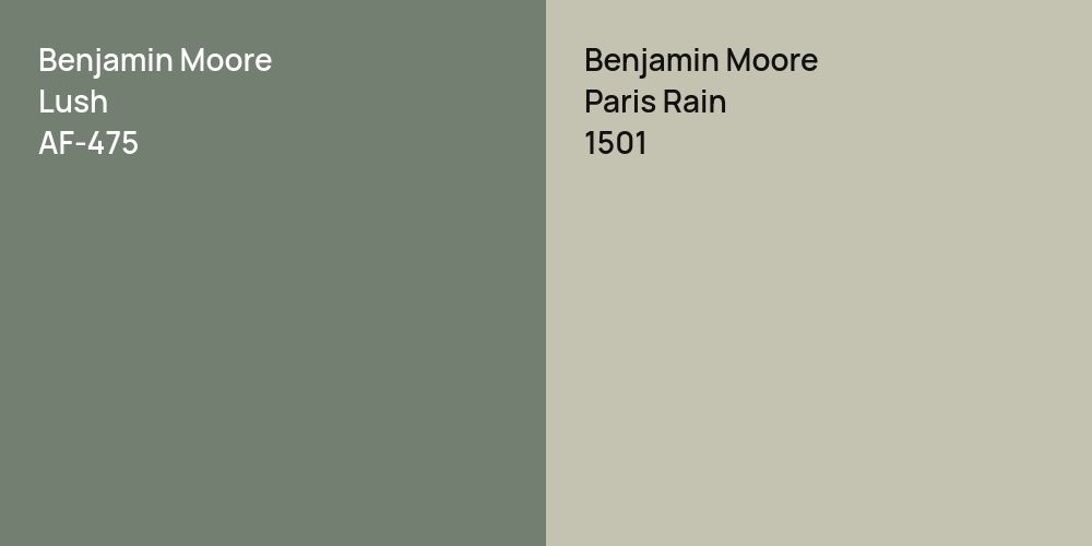 Benjamin Moore Lush vs. Benjamin Moore Paris Rain