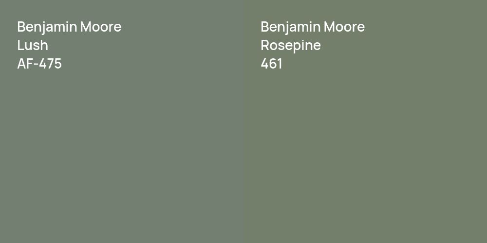 Benjamin Moore Lush vs. Benjamin Moore Rosepine