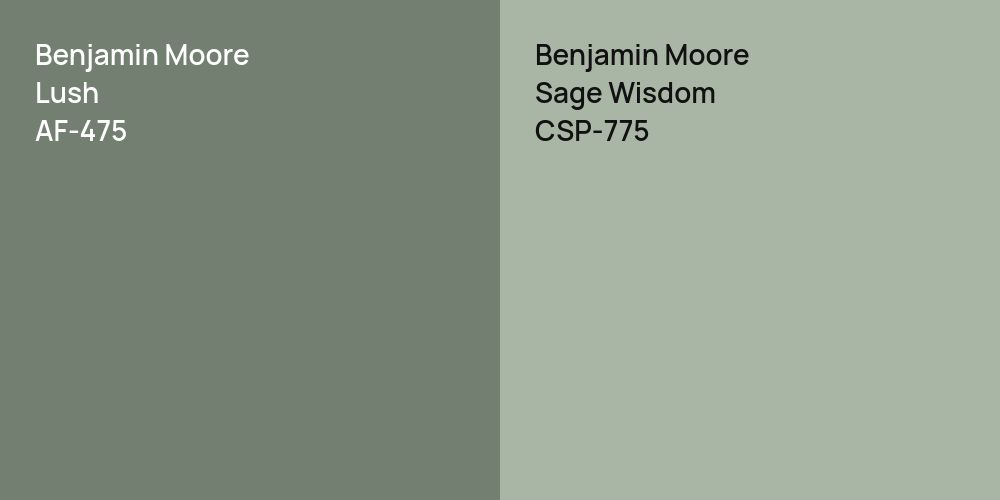 Benjamin Moore Lush vs. Benjamin Moore Sage Wisdom