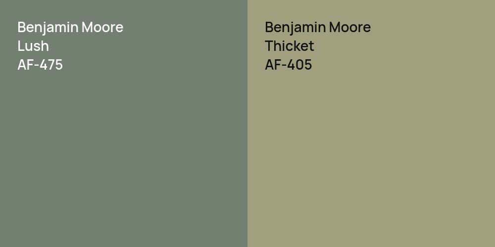 Benjamin Moore Lush vs. Benjamin Moore Thicket