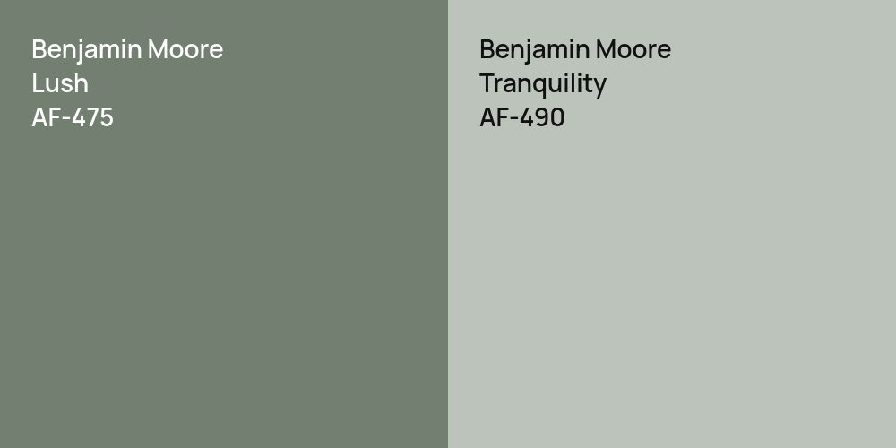 Benjamin Moore Lush vs. Benjamin Moore Tranquility