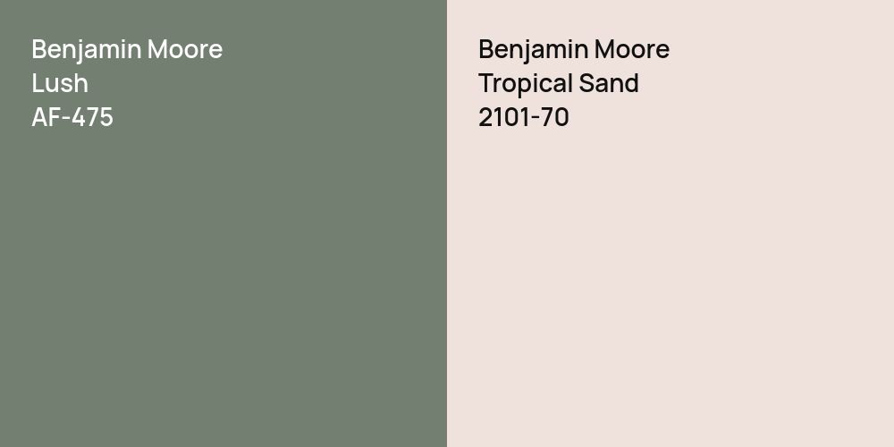 Benjamin Moore Lush vs. Benjamin Moore Tropical Sand