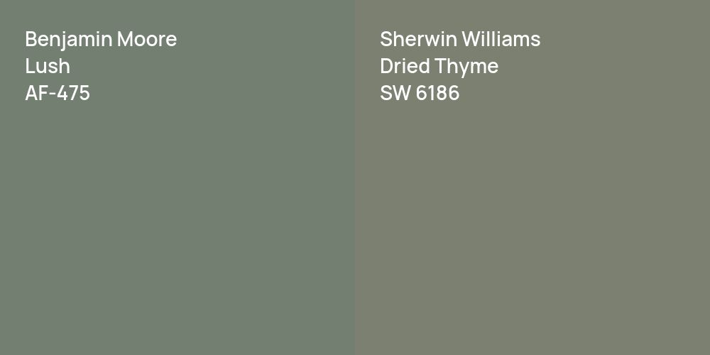 Benjamin Moore Lush vs. Sherwin Williams Dried Thyme