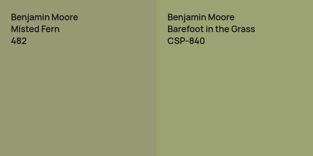 Benjamin Moore Misted Fern vs. Benjamin Moore Barefoot in the Grass