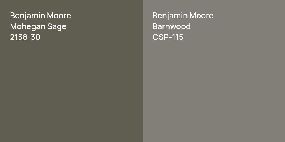 Benjamin Moore Mohegan Sage vs. Benjamin Moore Barnwood