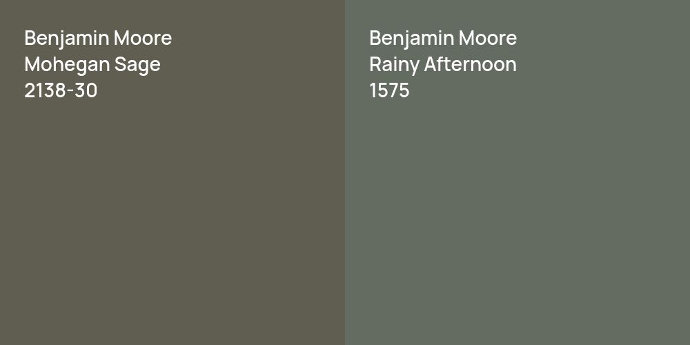 Benjamin Moore Mohegan Sage vs. Benjamin Moore Rainy Afternoon