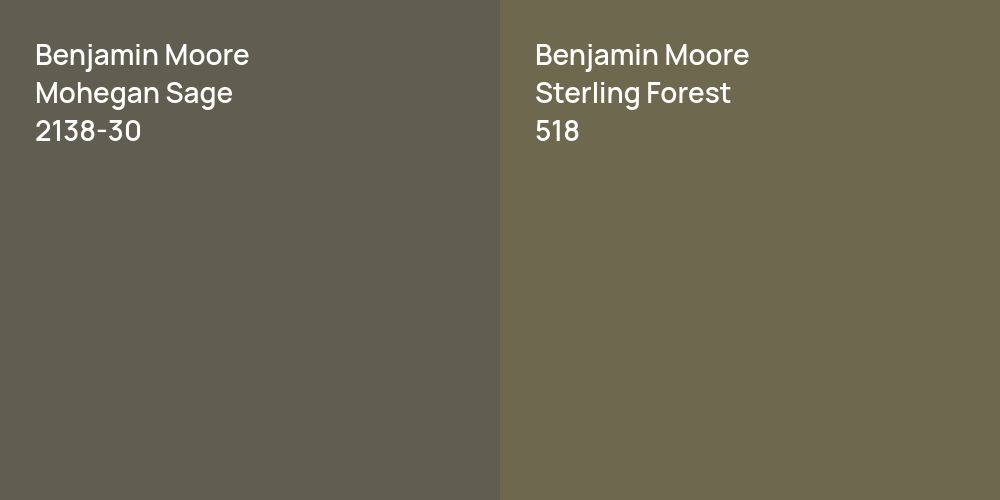 Benjamin Moore Mohegan Sage vs. Benjamin Moore Sterling Forest