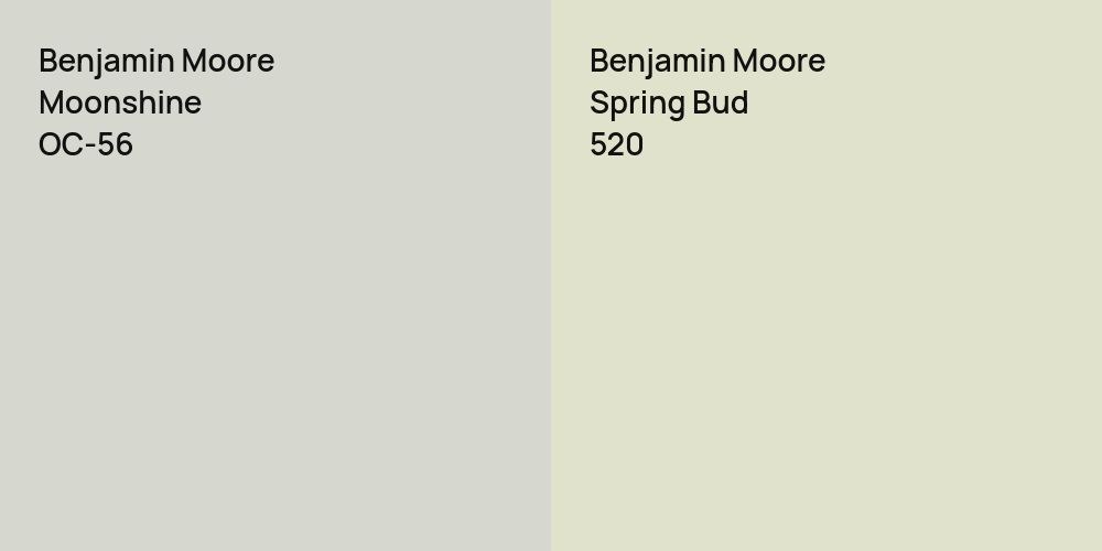 Benjamin Moore Moonshine vs. Benjamin Moore Spring Bud