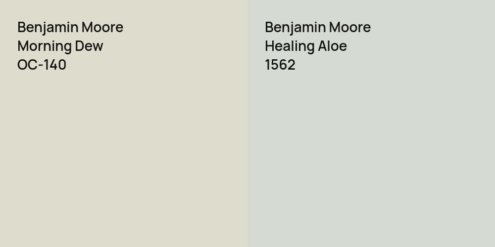 Benjamin Moore Morning Dew vs. Benjamin Moore Healing Aloe