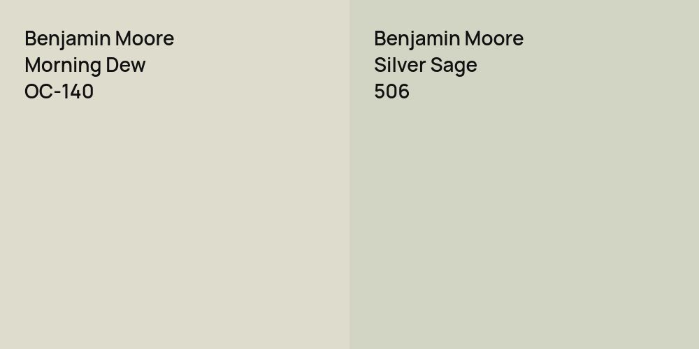 Benjamin Moore Morning Dew vs. Benjamin Moore Silver Sage