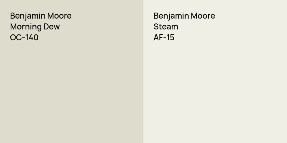 Benjamin Moore Morning Dew vs. Benjamin Moore Steam