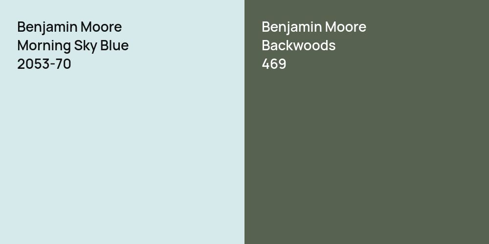 Benjamin Moore Morning Sky Blue vs. Benjamin Moore Backwoods