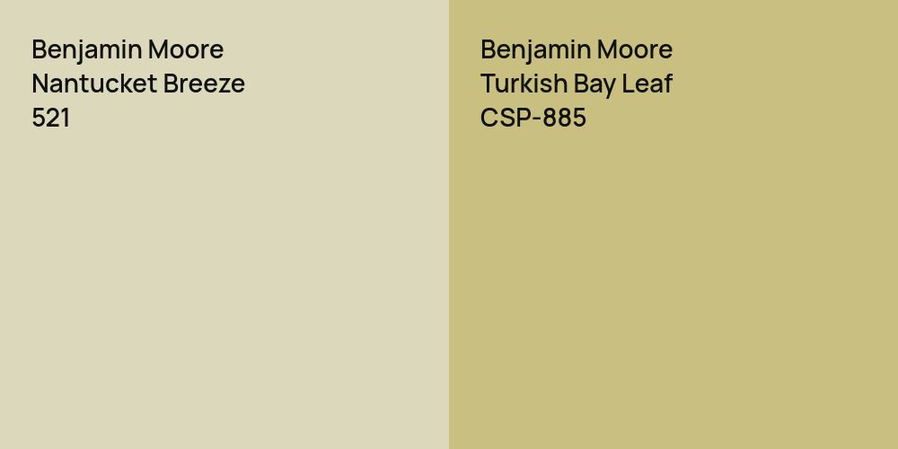 Benjamin Moore Nantucket Breeze vs. Benjamin Moore Turkish Bay Leaf