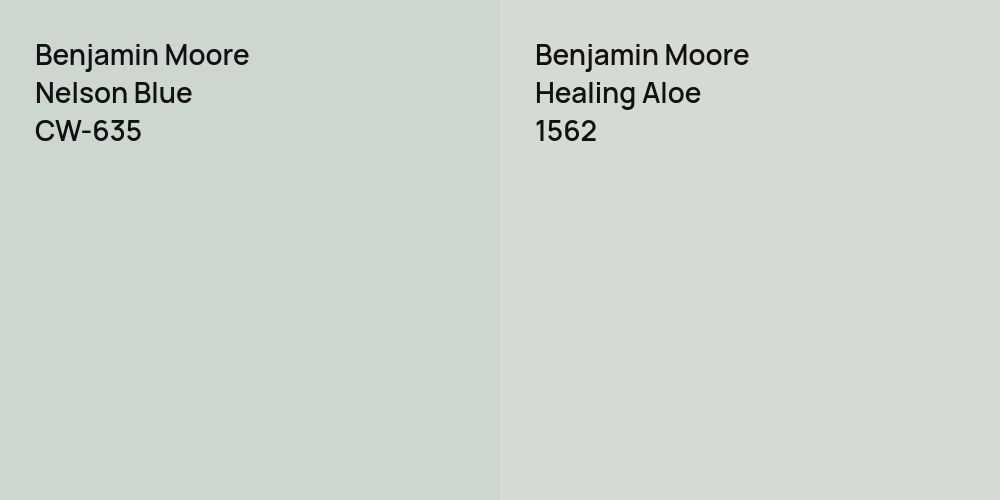 Benjamin Moore Nelson Blue vs. Benjamin Moore Healing Aloe