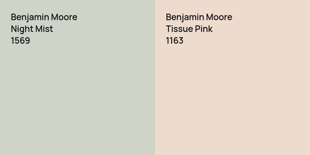 Benjamin Moore Night Mist vs. Benjamin Moore Tissue Pink