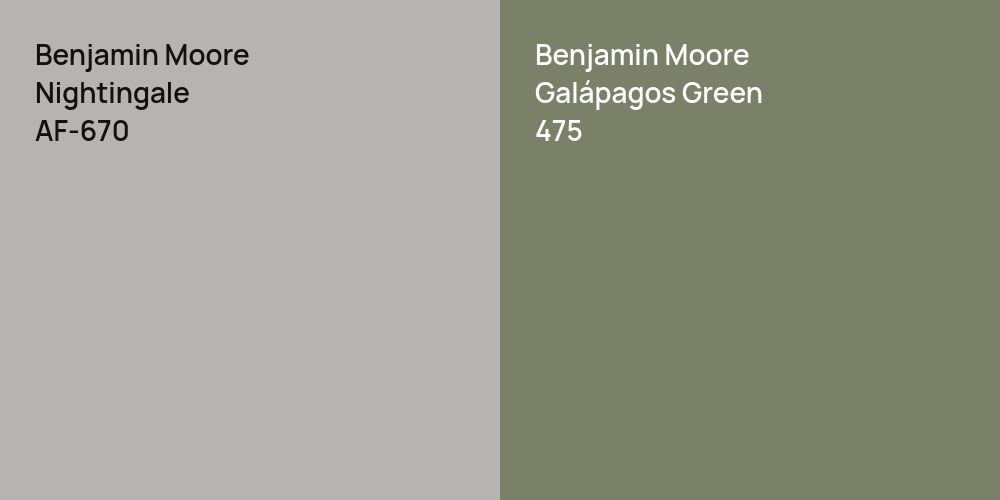 Benjamin Moore Nightingale vs. Benjamin Moore Galápagos Green