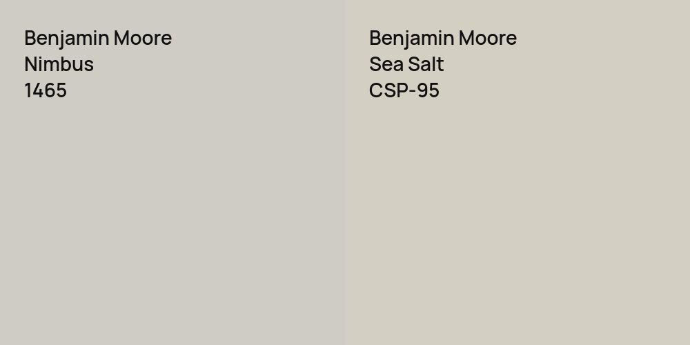 Benjamin Moore Nimbus vs. Benjamin Moore Sea Salt